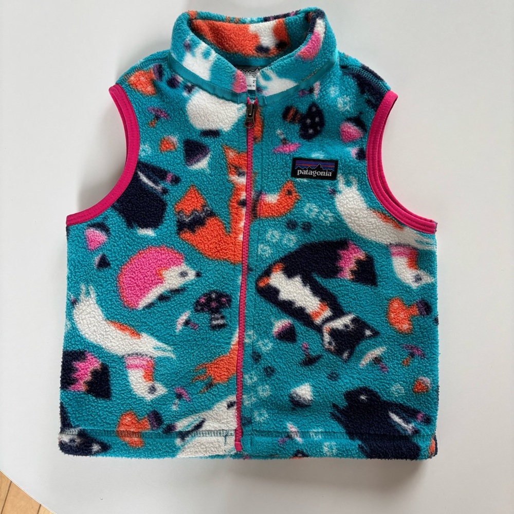 Patagonia 2T fleece vest Teal and Pink